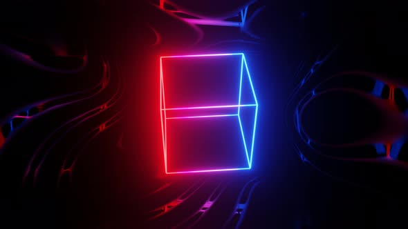 Vj Loop Mirror Room with Fly Neon Frame Box alt