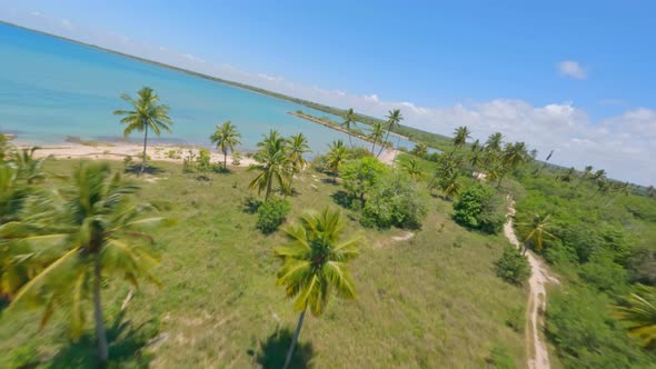 Playa Nueva Romana tropical beach, San Pedro de Macoris in Dominican Republic. Aerial drone fpv alt