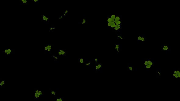 St Patrick's Day  alt