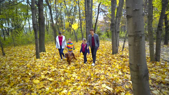 Happy close-knit family walks through the autumn Park with the dog Irish setter.