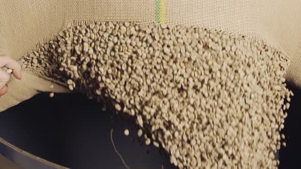 Worker cutting a burlap bag with green coffee beans - slow motion alt