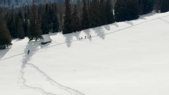 Aerial View of People Hiking in Mountains in Sunny Winter Day in Snow Valley
