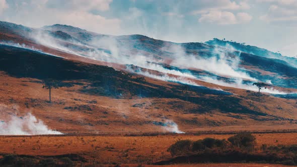 Wild Fire in the Mountains in Brazil alt