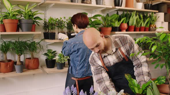 In a Beautiful Green Floral Store the Florist Man alt