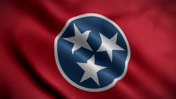 Tennessee State Flag Angle