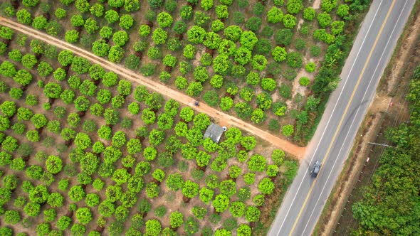 4K Aerial view over a farmer's garden. A car drives on a road near a garden in rural Thailand. alt