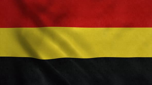 Coamo Flag City of Puerto Rico Waving in Wind alt