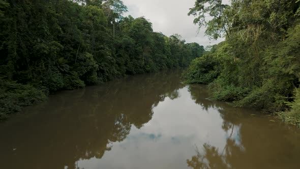 Drone flight over river in complete rainforest wilderness, Amazon alt