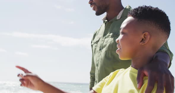 Smiling african american father with son embracing on sunny beach alt
