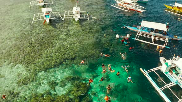 Tourists Snorkeling in Coral Reef Moalboal Philippines alt