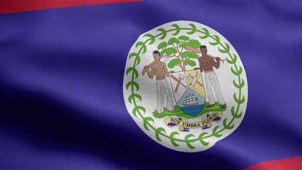 Belize Flag Seamless Closeup Waving Animation alt