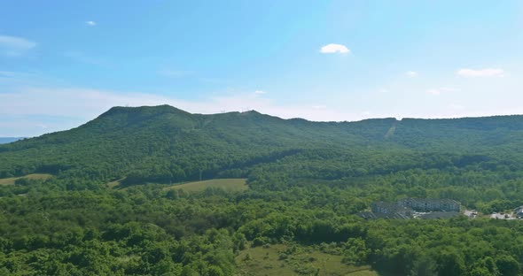 Panoramic Aerial View of Summer Green Trees Forest of Highway Junction Road in Daleville Town alt