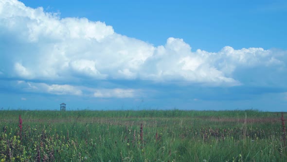 Time lapse of beautiful white fasting puffy cumulus clouds at footbridge path and birdwatching tower alt