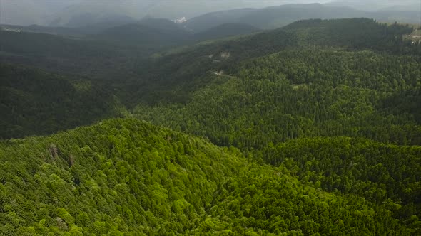 Flying Over Big Forest In The Forested Mountains