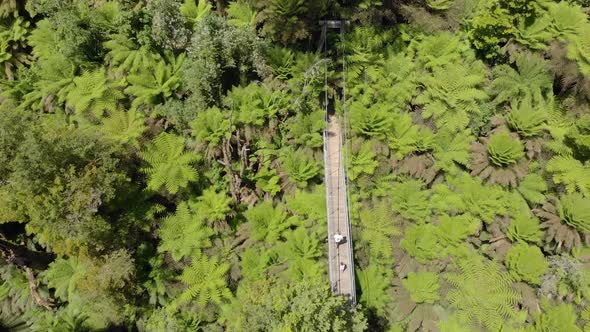 Birds eye view aerial of people walking over a suspension bridge in the forests of Victoria Australi alt