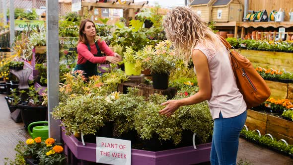 Female florist watering flowers with watering can while customer looking at pot plant alt
