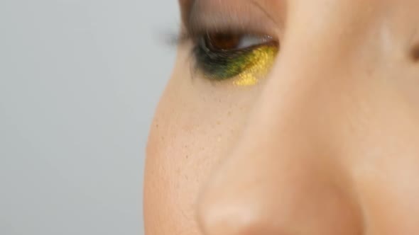 Fashionable Multicolored Eye Shadow Chameleon with Yellow Purple Gray Silver Color on the Eyelid of