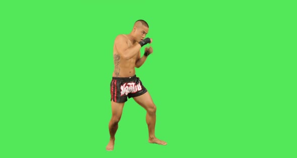 Thai male boxer fighting