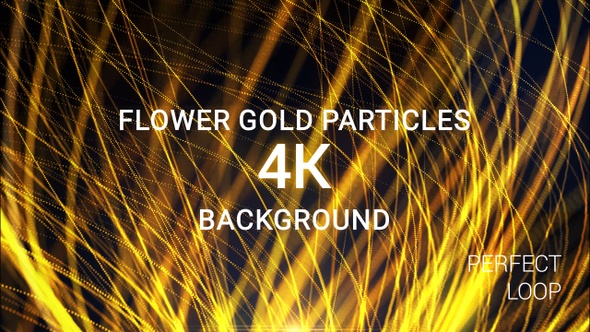 Golden Flower Particles 4K