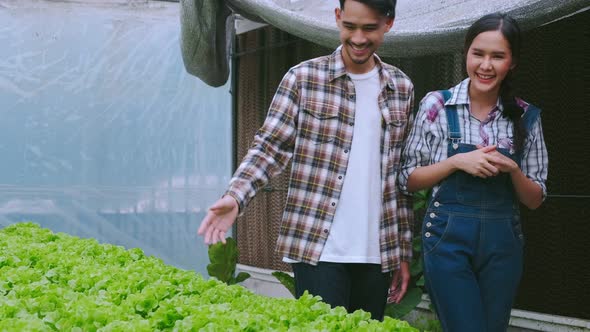 handheld asian couple farmer takecare and harvest green fresh plant in hydroponics farm alt