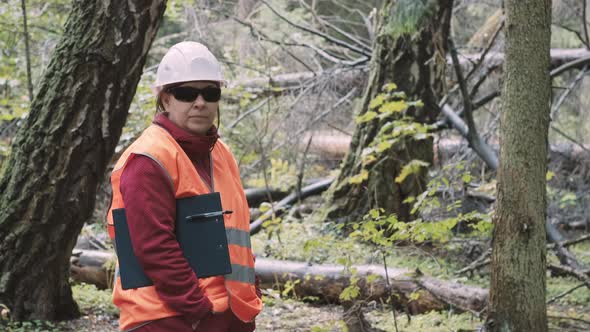 Woman and Man Environmentalist Eliminate Damage Caused to Forest After Hurricane