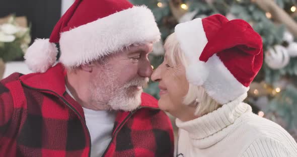 Close-up Portrait of Senior Caucasian Couple Rubbing Noses, Looking at Camera and Smiling alt