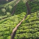 Aerial View of Drone Tea Plantations in the Vicinity of the City of Munnar - VideoHive Item for Sale