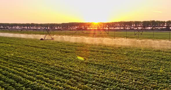Aerial shot of green soybean crop field pivot irrigation system alt