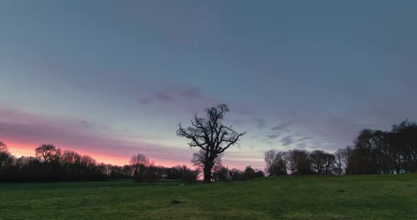 Tree Stands In Front Of Sunset Time Lapse