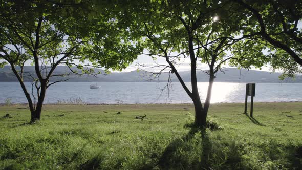 Looking Out From an Orchard to a Secluded Bay alt
