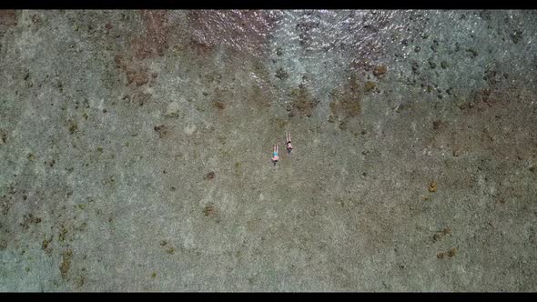 Aerial top down tourism of marine resort beach wildlife by aqua blue lagoon and white sand backgroun alt