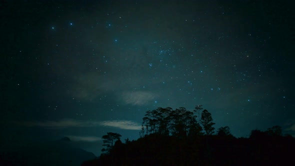 Breathtaking time lapse of night starry sky in forest. Milky way Shining stars Galaxy passing clouds