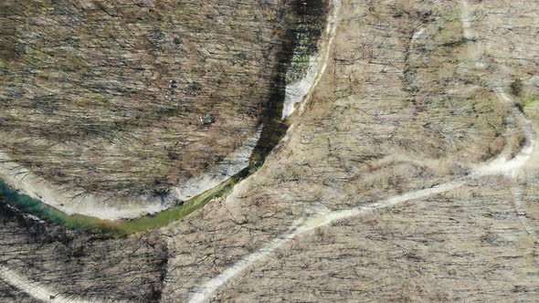 Aerial view of the spring forest. Flying over the forest. Beautiful spring forest. alt