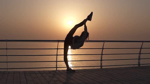 The Stunning Silhouette of a Thin Girl Arches From a Vertical Twine ...