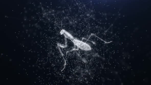 4K Plexus Mantis alt