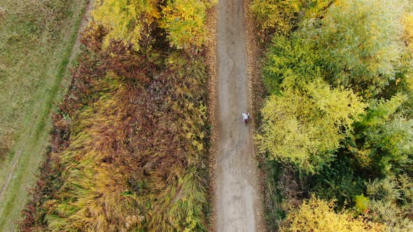 Aerial drone view girl rides bicycle on countryside road