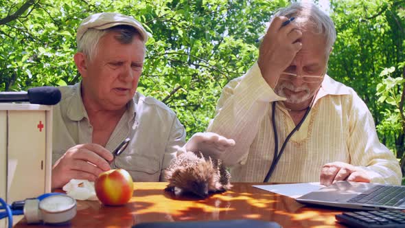 Seniors Examine Catch Hedgehog and Write Near Laptop alt