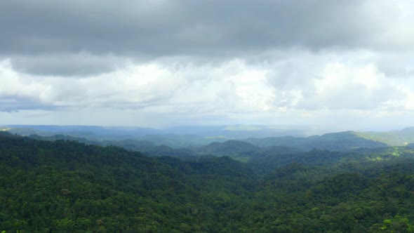 Aerial view over tropical forest, flying backwards over the canopy of trees alt