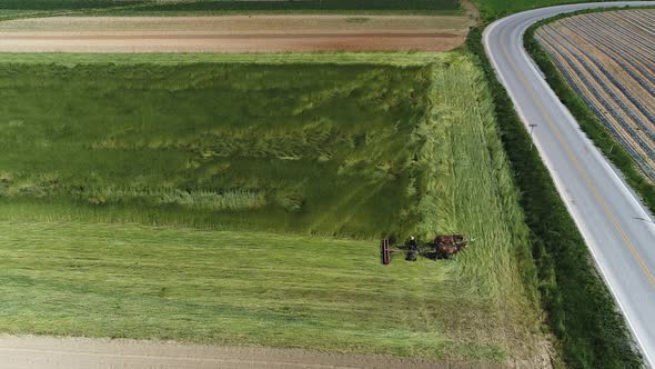 Aerial View of Amish Farm Worker Harvesting Spring Crop With Team of 2 Horses alt