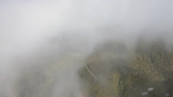 Sabaduri Mountain. Autumn forest. Georgia alt