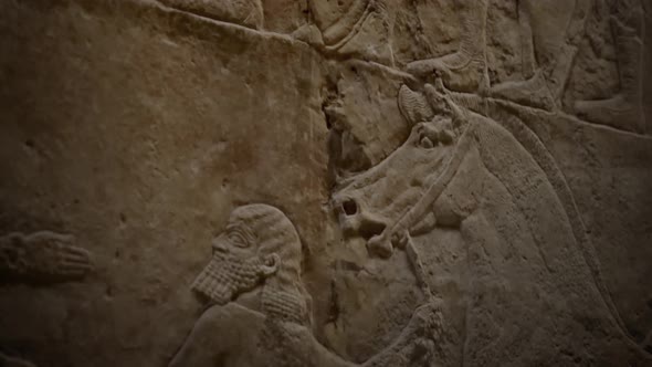 Assyrian Bass-relief of the royal lion hunt