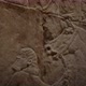 Assyrian Bass-relief of the royal lion hunt - VideoHive Item for Sale