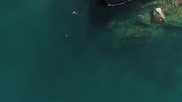 Top View at Swimming People alt