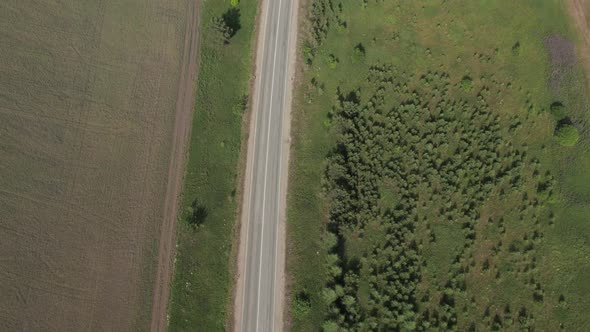 Asphalt road between rural fields