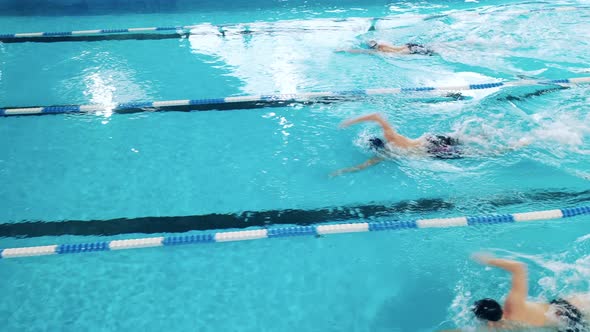 Professional Athletes Training in a Swimming Pool alt
