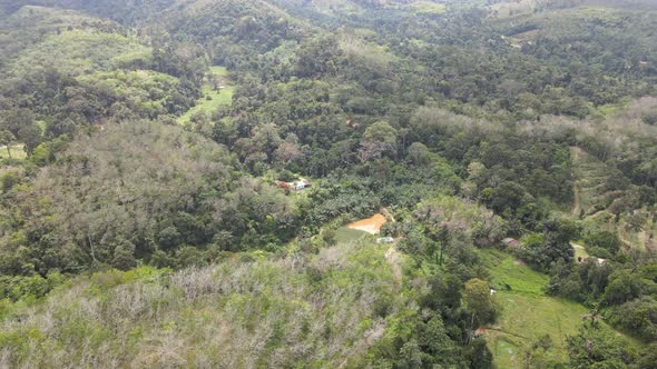 Aerial view of Fish Pond, Rubber Plantation and Jungle in Pahang