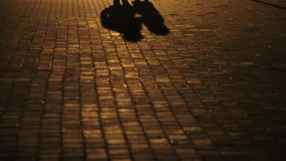 The Shadow of a Couple in Love