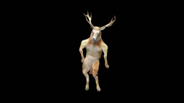 30 Deer Dancing HD alt