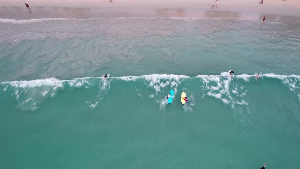 Surfers Catch Waves at Sunset alt