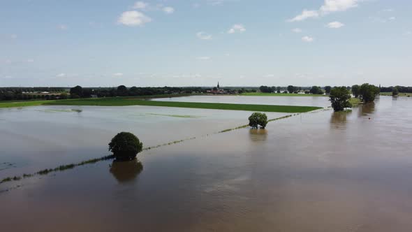 Floodplains and drowned trees at river Maas in the Netherlands, Aerial alt